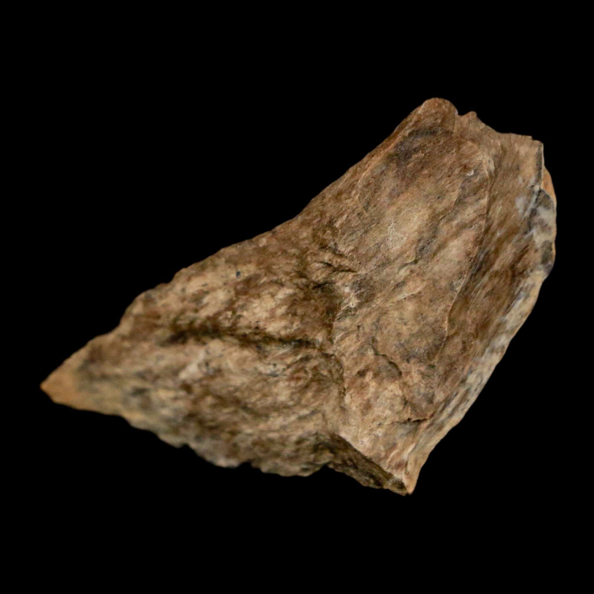 1.6