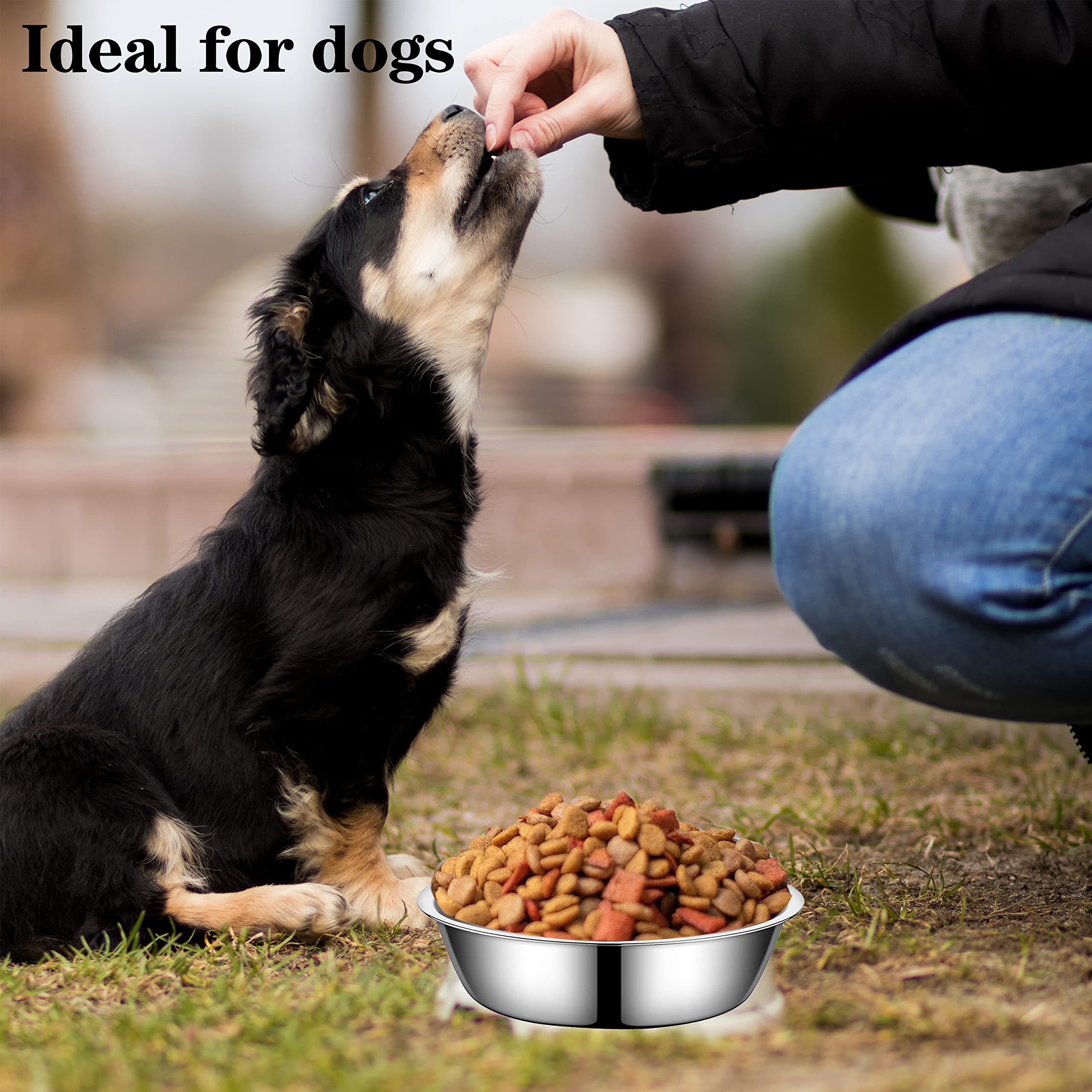 Premium Stainless Steel Pet Bowls for Cats & Small Dogs - 2-Pack Durable Metal Food & Water Dishes (6.3 Inch) - Perfect for Feeding Stations, Travel & Home Use