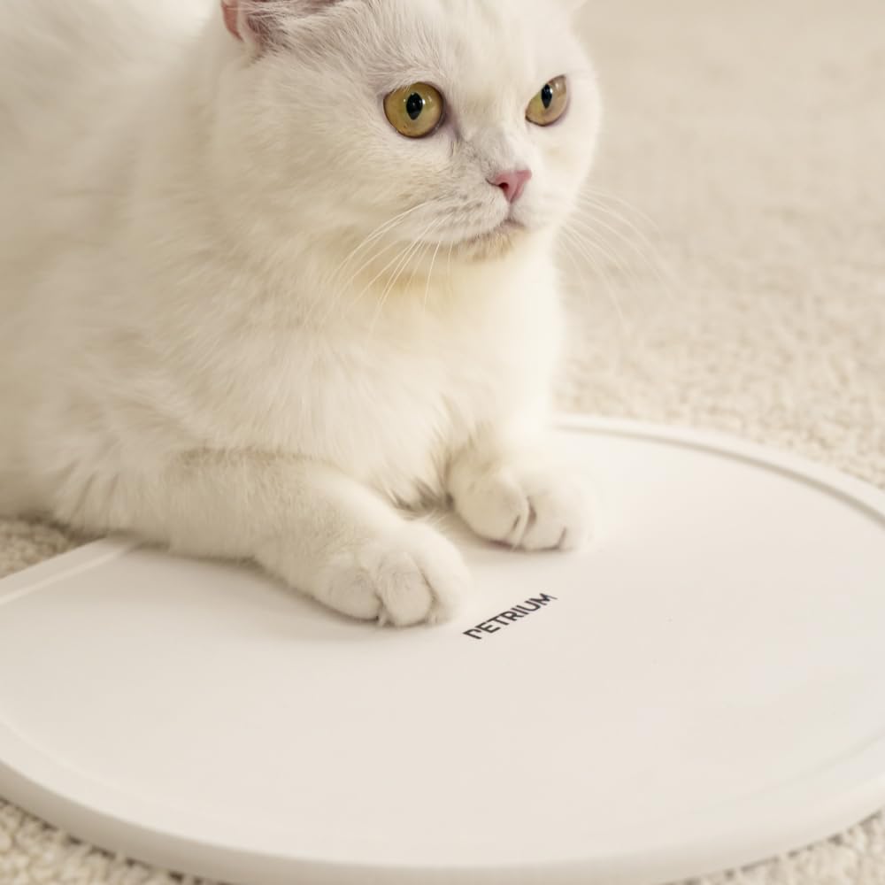 Premium Absorbent Stone Dry Mat for Pets - Quick Drying Non-Slip Pet Feeding Mat for Food & Water Bowls | Natural Diatomaceous Earth Dog Cat Accessories | Perfect for Messy Drinkers & Water Fountain Areas