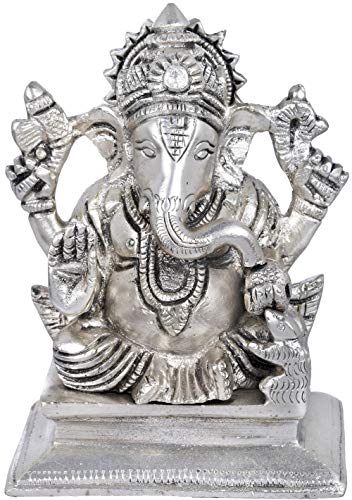 Amazing Silver
