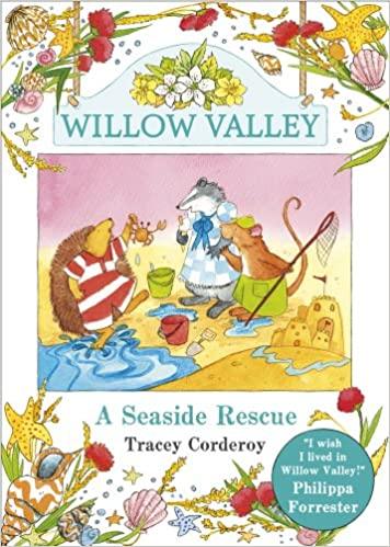 A Seaside Rescue: Book 6 in the Willow Valley Series - Perfect for Beach Reading & Family Storytime