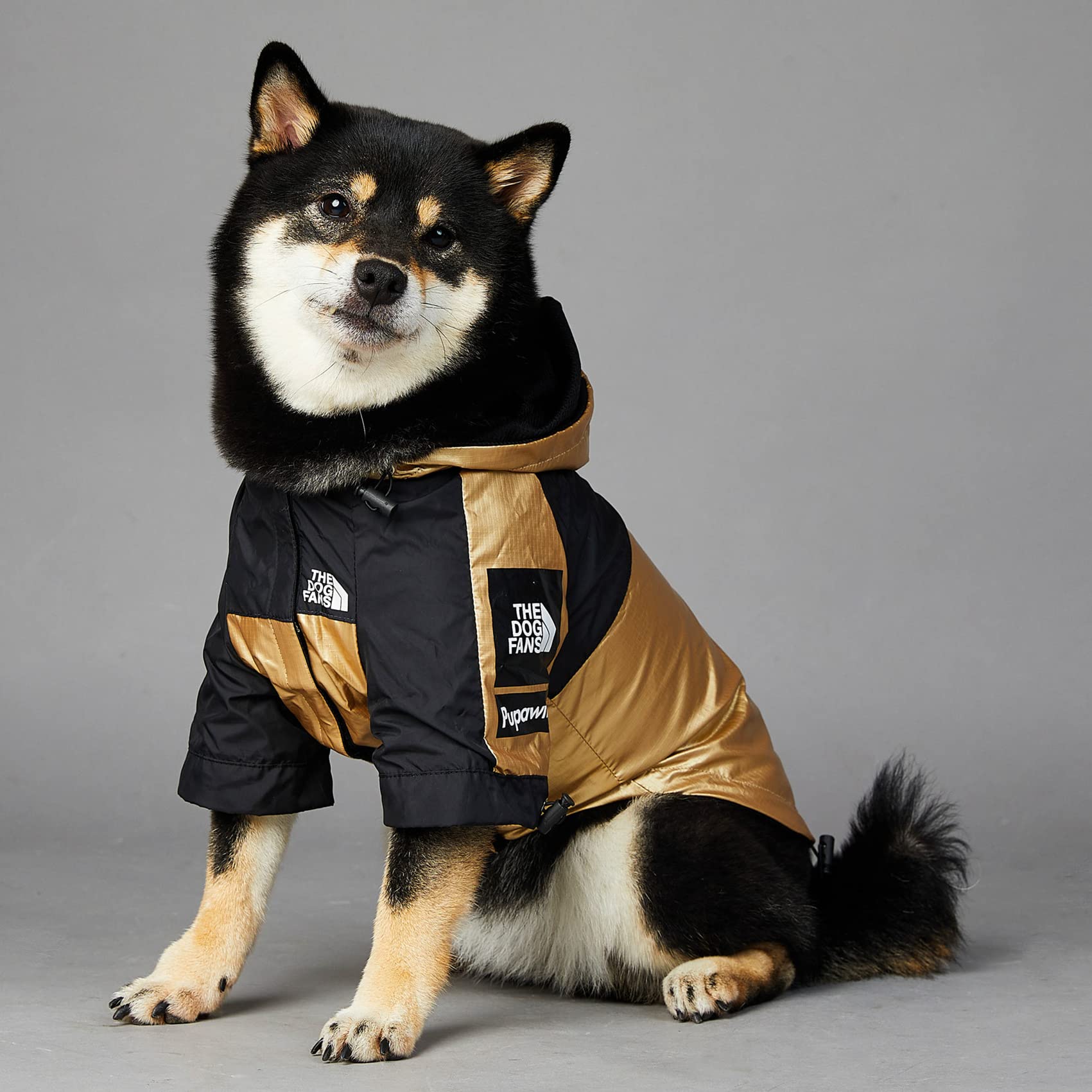 **Waterproof & Windproof Dog Raincoat with Hood - Lightweight Pet Jacket for Small, Medium, Large & XL Dogs (4X-Large, Gold) - Ideal for Rainy Walks & Outdoor Adventures**