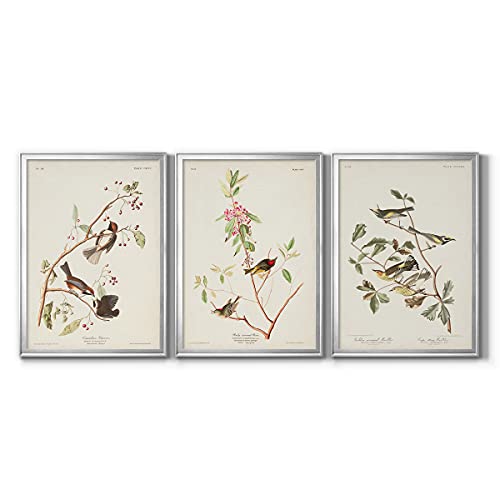 Art S2051-3ss