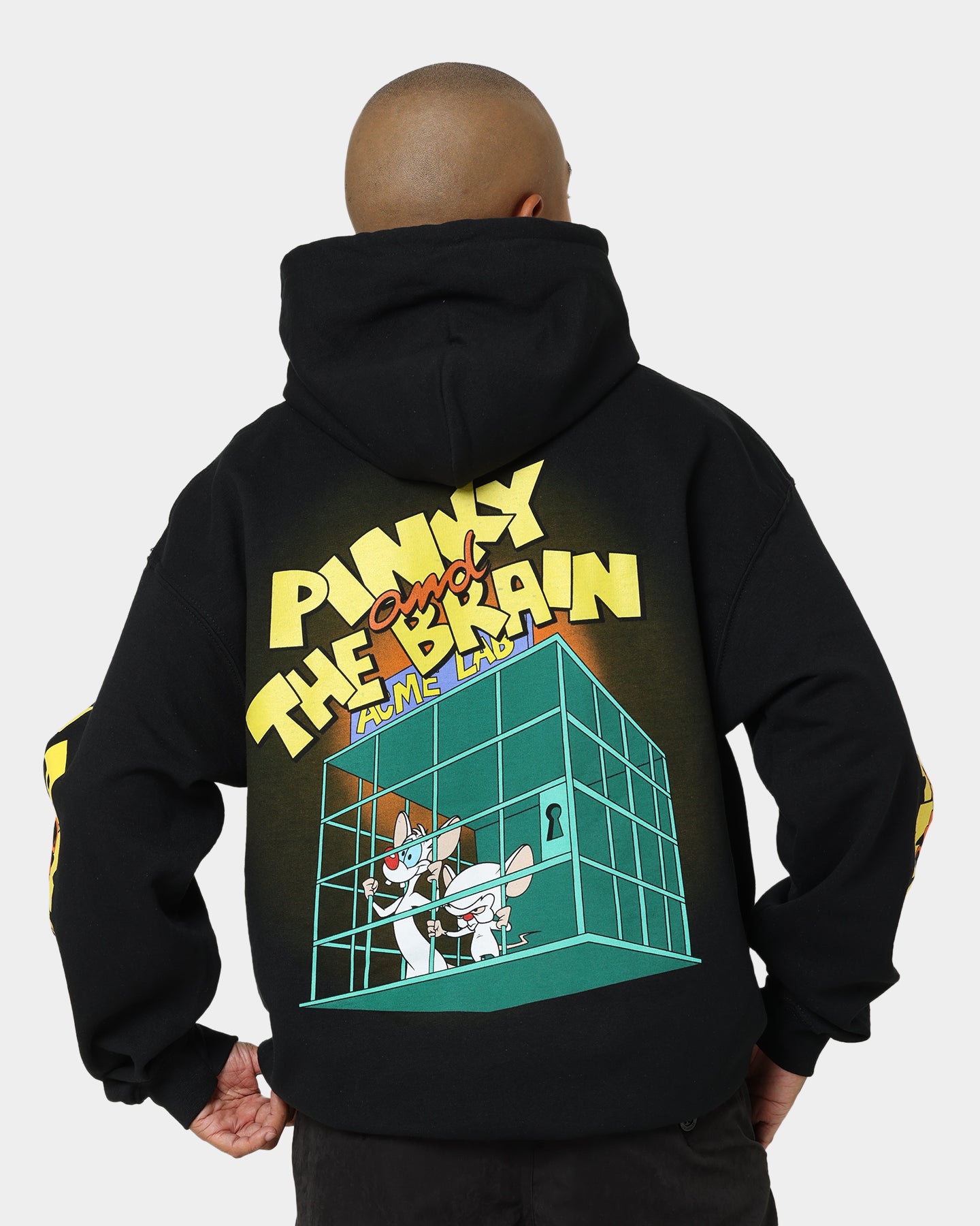 Pinky And The Brain Vintage Hoodie - Black Wash | American Thrift | Retro Cartoon Sweatshirt for Fans & Collectors | Perfect for Cosplay, Comic Con & Casual Wear