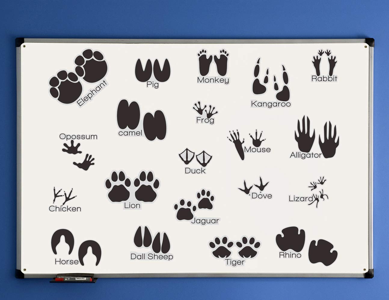 Animal Tracks Wall Decals (20-Piece Set) - Removable Peel & Stick Vinyl Stickers for Kids Room, Nursery, Classroom - Black Wildlife Footprint Decoration for Home Decor & Learning Activities