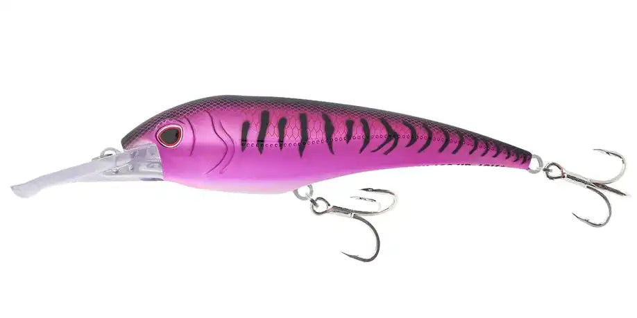 Pink Mackerel
