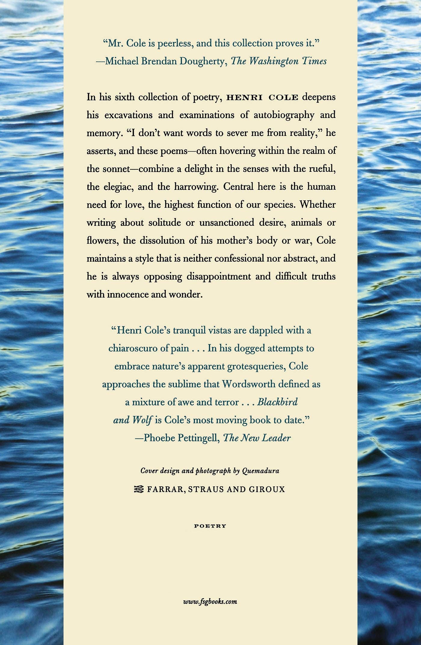 Blackbird and Wolf: Poems - A Collection of Contemporary Poetry for Book Lovers, Gifts & Literary Enthusiasts | Perfect for Reading, Study & Relaxation