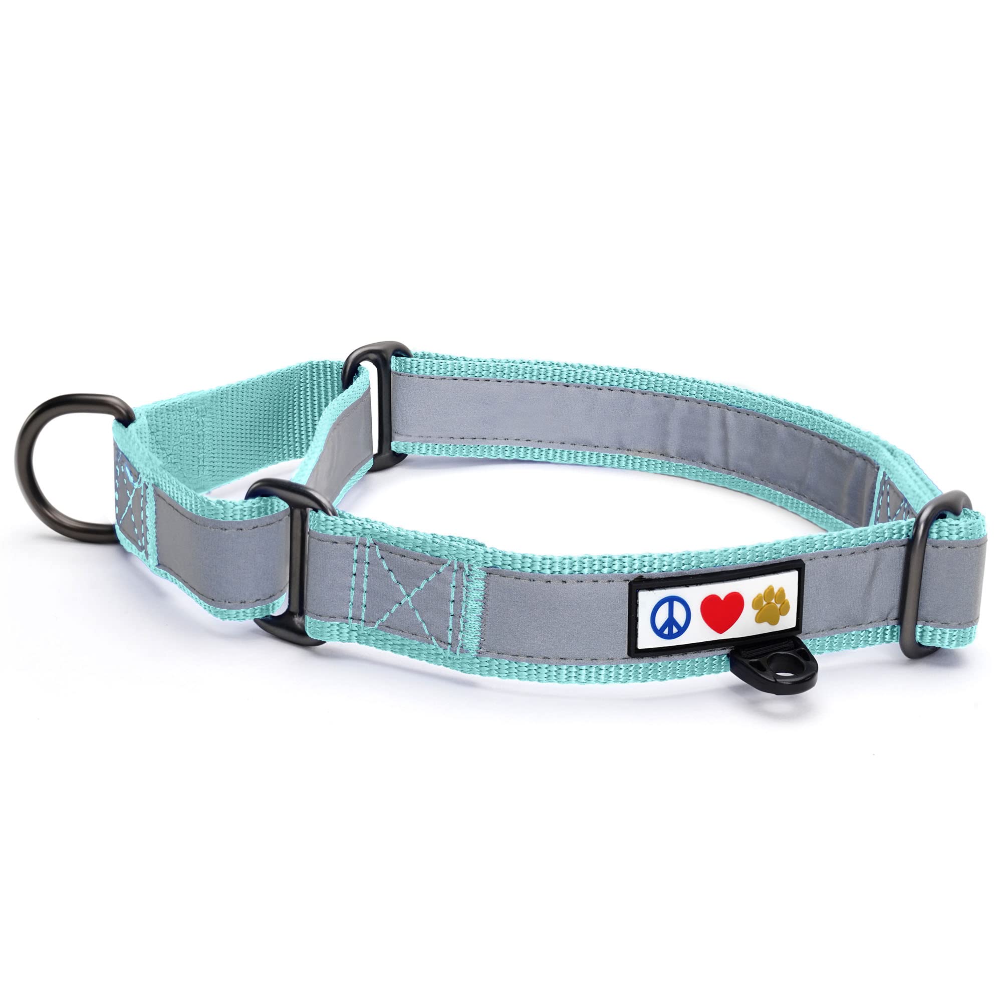 **Pawtitas Martingale Dog Collar - Reflective, Adjustable Puppy Training Collar for Small Dogs - Teal Color - Perfect for Walks, Night Safety & Behavioral Training**