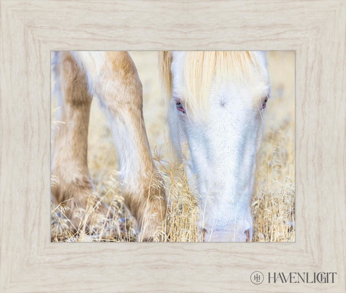 Dry Grass by Greg Sargent - Premium Handcrafted Home Decor for Rustic & Farmhouse Style - Perfect for Wall Art, Shelf Displays & Cozy Living Room Decor