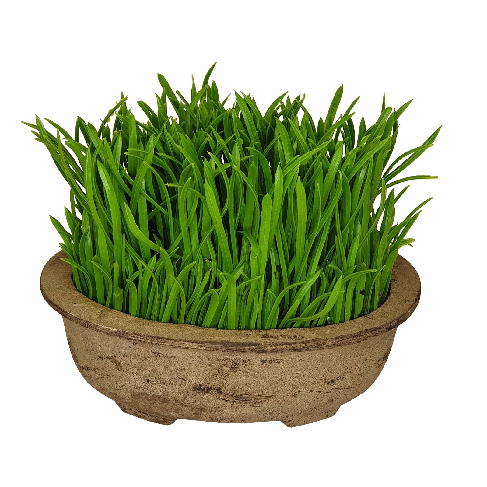 Premium 19cm Green Artificial Pot Plant by Criterion - Perfect for Home Decor, Office Spaces & Indoor Greenery