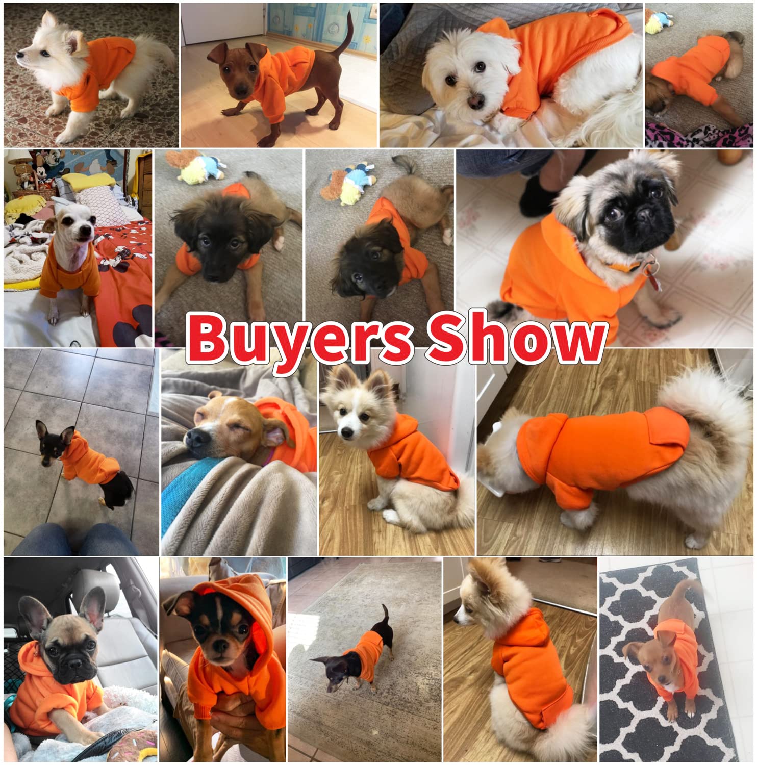 Idepet Pet Dog Hoodies - Warm Winter Coat Jacket for Small Dogs & Cats - Chihuahua Puppy Outfits, Cozy Fleece Vest for Autumn & Winter (2XL, Orange) - Perfect for Outdoor Walks, Cold Weather Protection & Stylish Pet Fashion