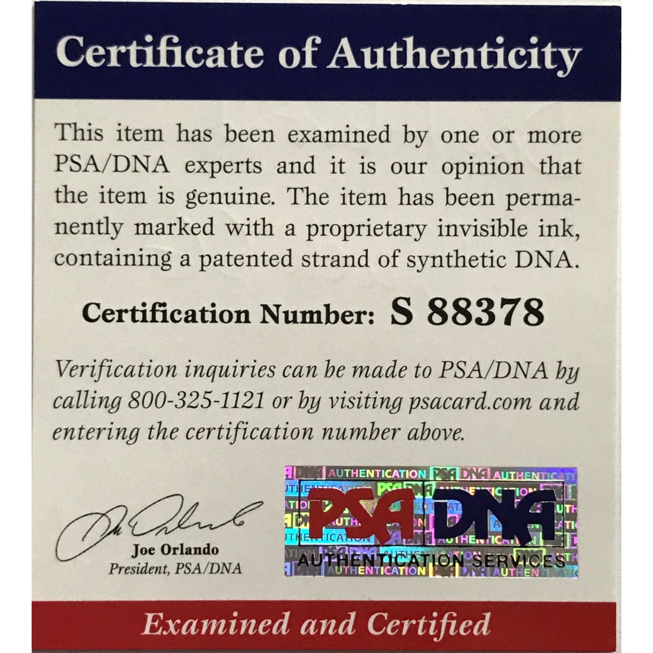 Authentic Dan Aykroyd Signed Blues Brothers Elwood Guitar with PSA COA - Perfect for Music Memorabilia Collectors & Movie Fans Display