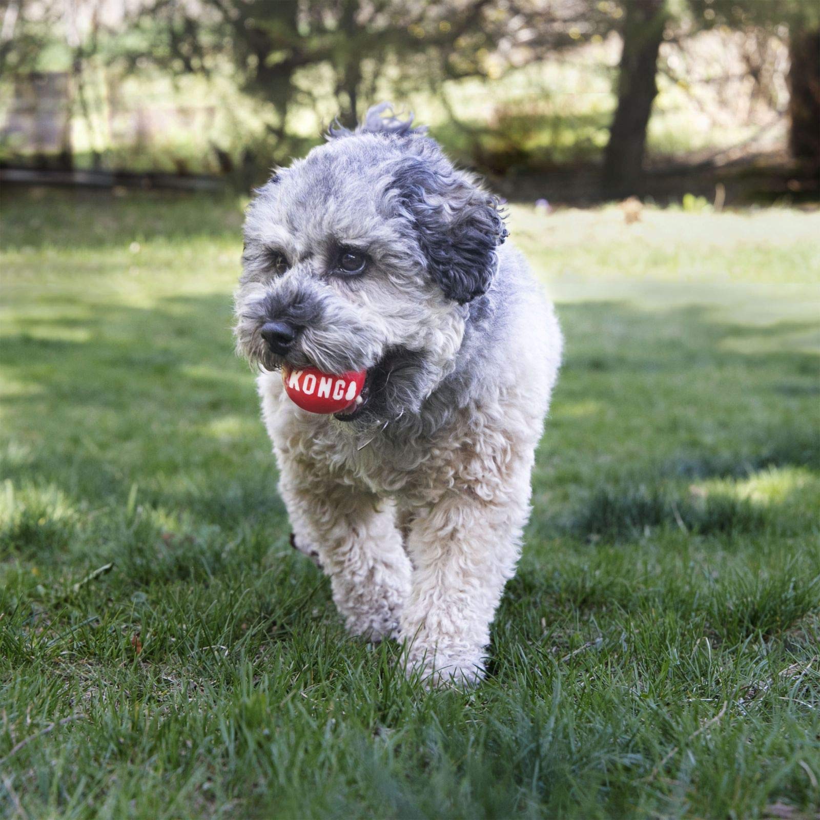 KONG Signature Ball Dog Toy - Large Durable Chew Toy for Aggressive Chewers - Perfect for Fetch, Training & Playtime at Home or Outdoors