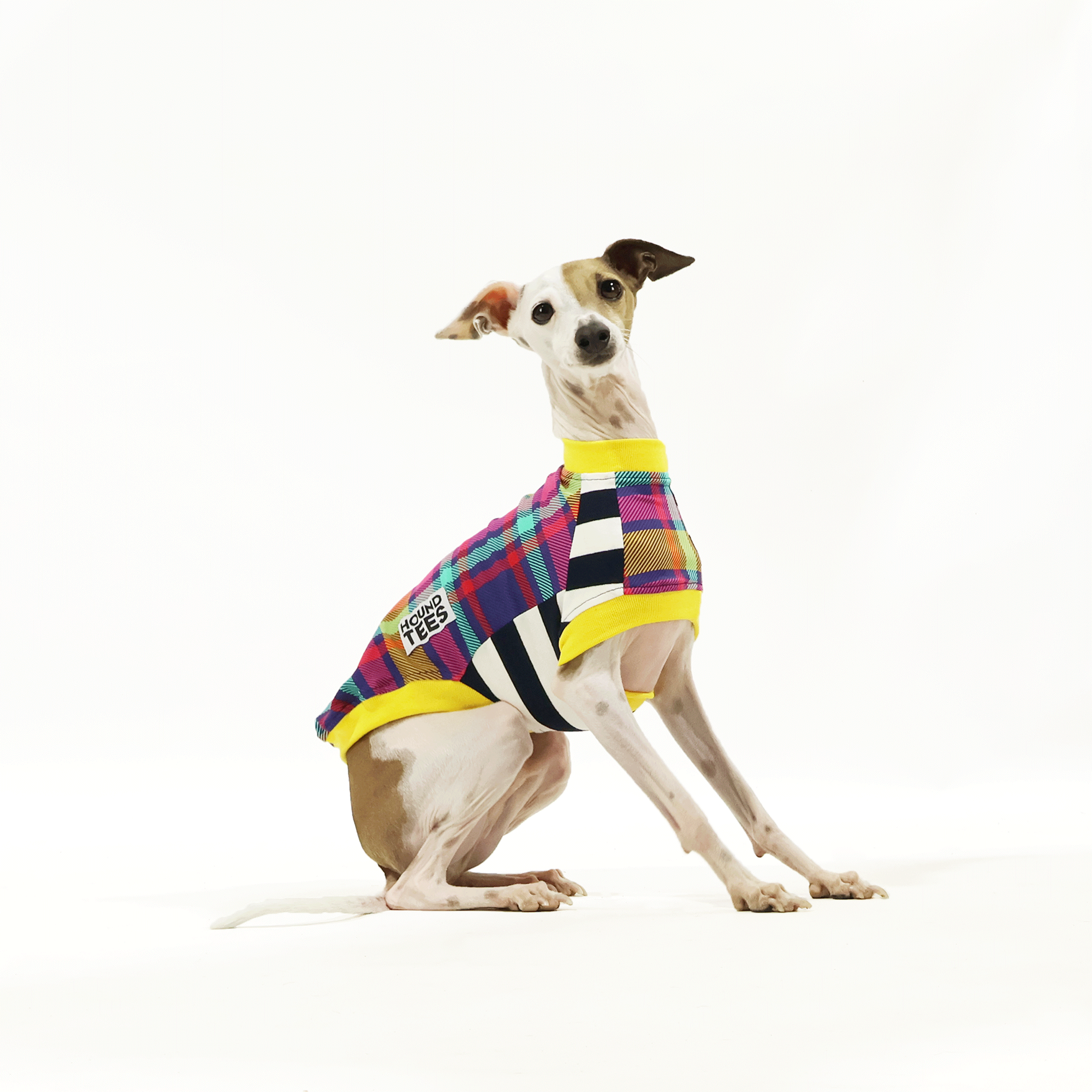 Clueless Iggy Sleeveless Hound T-Shirt - Vintage 90s Inspired Graphic Tee for Women | Perfect for Casual Wear, Summer Outfits & Pop Culture Fans