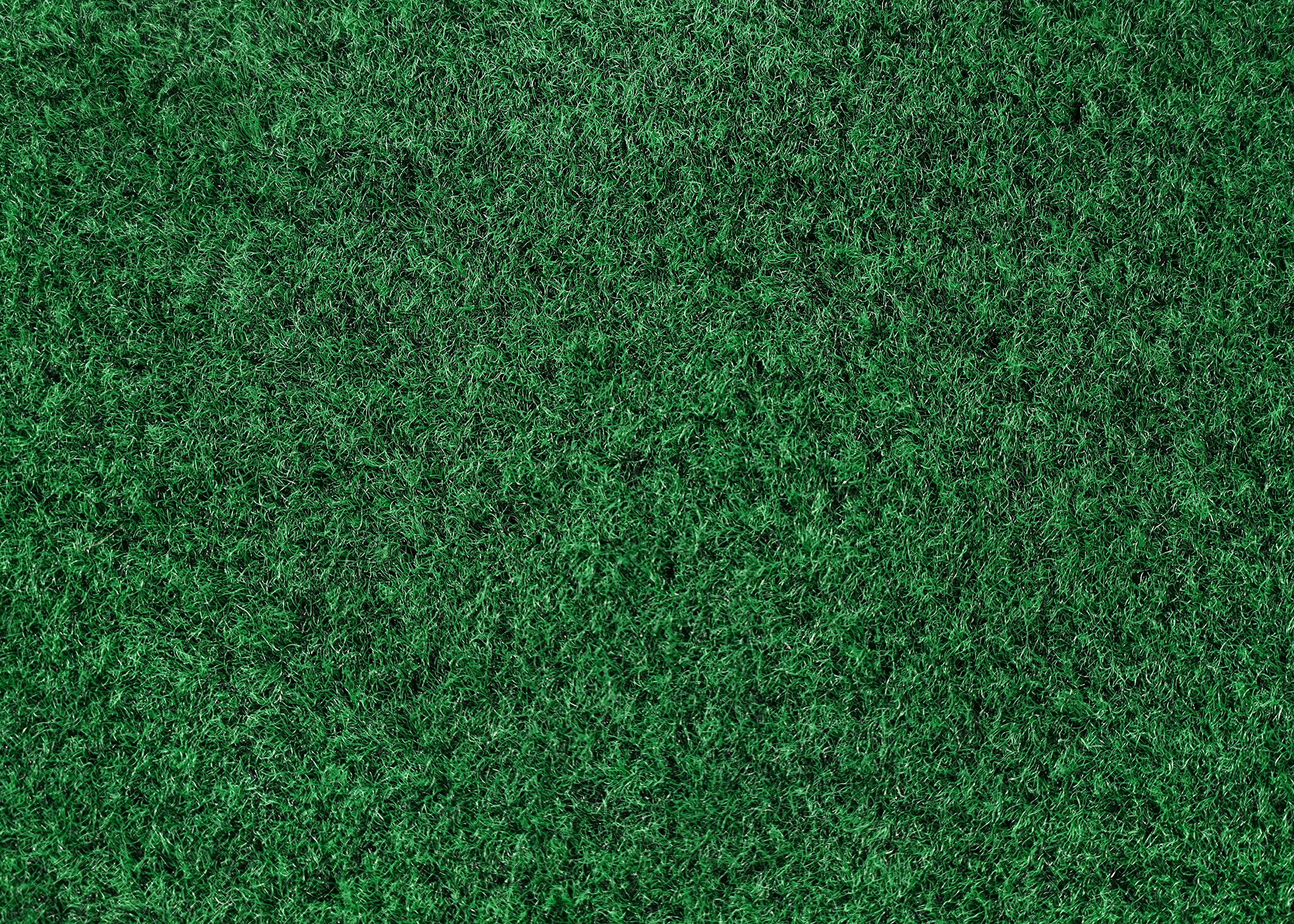 Garland Rug Softscapes 9x12 FT Indoor Outdoor Area Rug - Green - Perfect for Living Room, Patio & Deck Decor