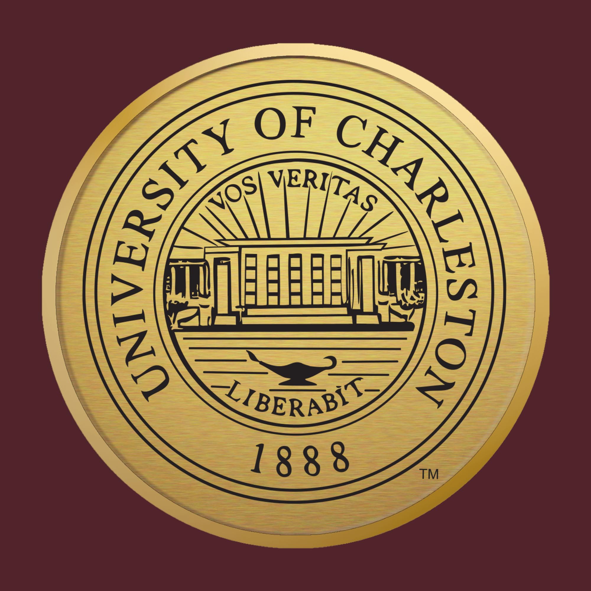 University of Charleston School of Pharmacy 11x14 Diploma Frame - Gold Engraved Medallion Display for Bachelor's, Master's & PhD Degrees - Perfect for Graduation Gifts & Office Decor