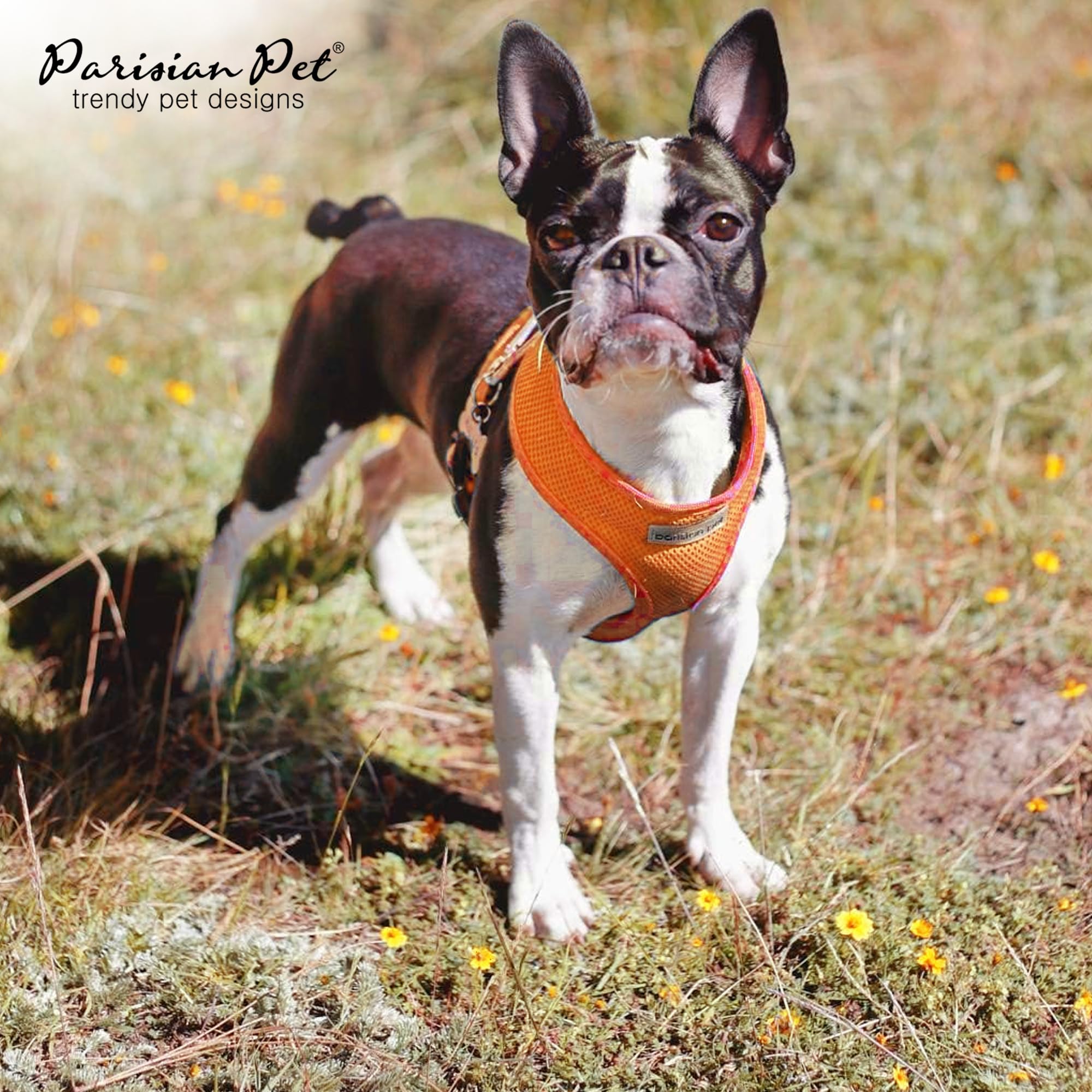 Parisian Pet Orange Adjustable Dog Harness - Soft Padded No-Pull Vest for Small Dogs (XS) - Comfortable Cooling Harness for Walking, Running & Hiking - Perfect for Outdoor Adventures and Daily Walks