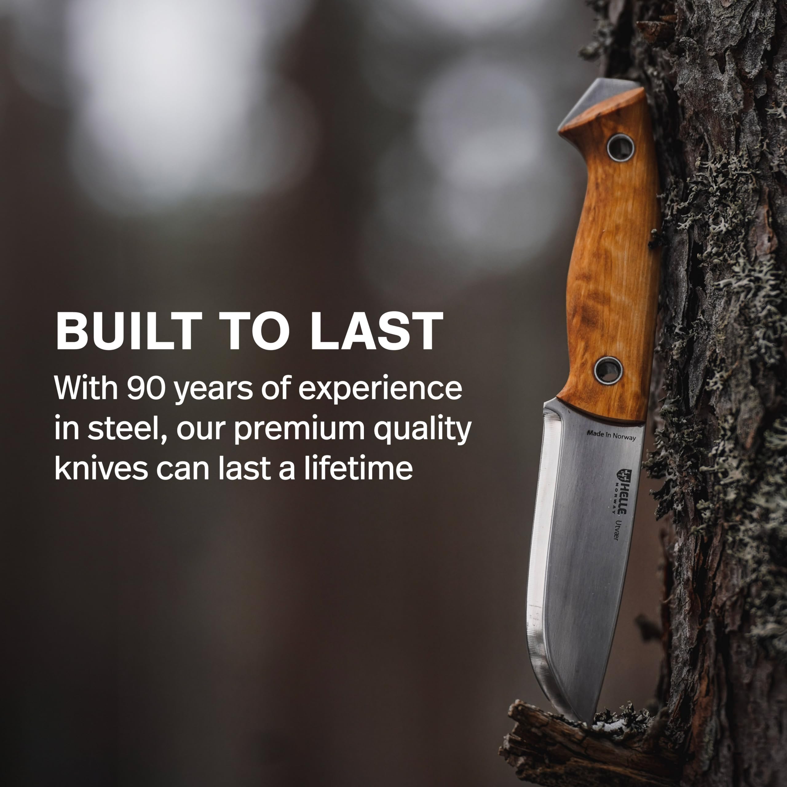 HELLE Utvaer Outdoor Hunting and Camping Knife - Full Tang Stainless Steel Fixed Blade with Sheath, Curly Birch and Vulcan Fiber Handle by Jesper Voxnaes - Perfect for Bushcraft, Survival, and Wilderness Adventures