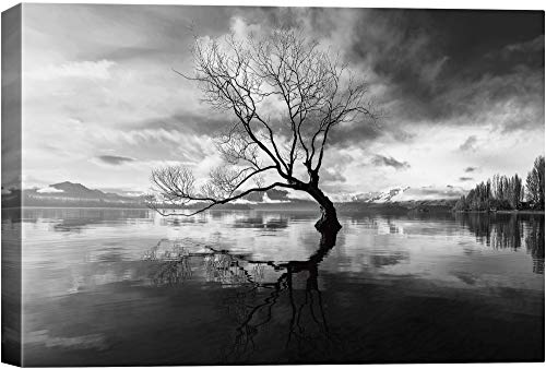 Base06-2103-nature-na03
