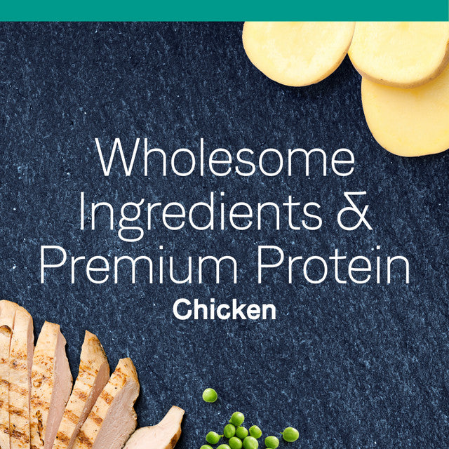 PURE Grain-Free Dry Cat Food with Real Chicken - High Protein, Natural Ingredients for Adult & Senior Cats - Perfect for Indoor & Outdoor Cats