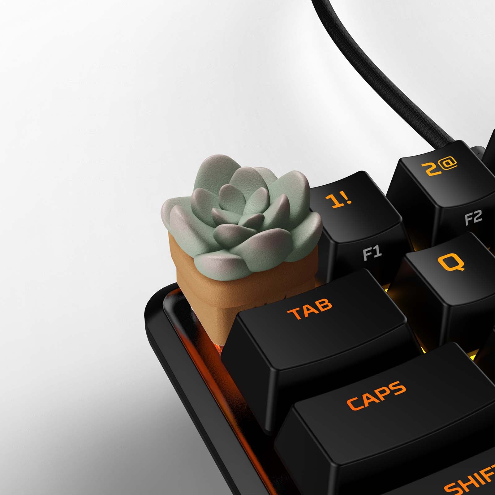 HX3D Custom Keycap - Sally the Succulent Design for Mechanical Keyboards | Perfect for Gaming & Typing Enthusiasts