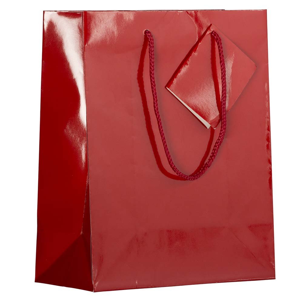 JAM Paper Glossy Gift Bags with Rope Handles - Medium Size 8