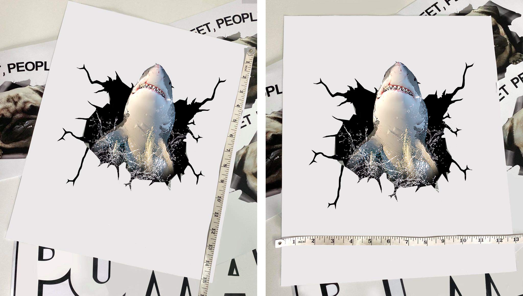Realistic Shark Car Decals Pack of 2 - 12