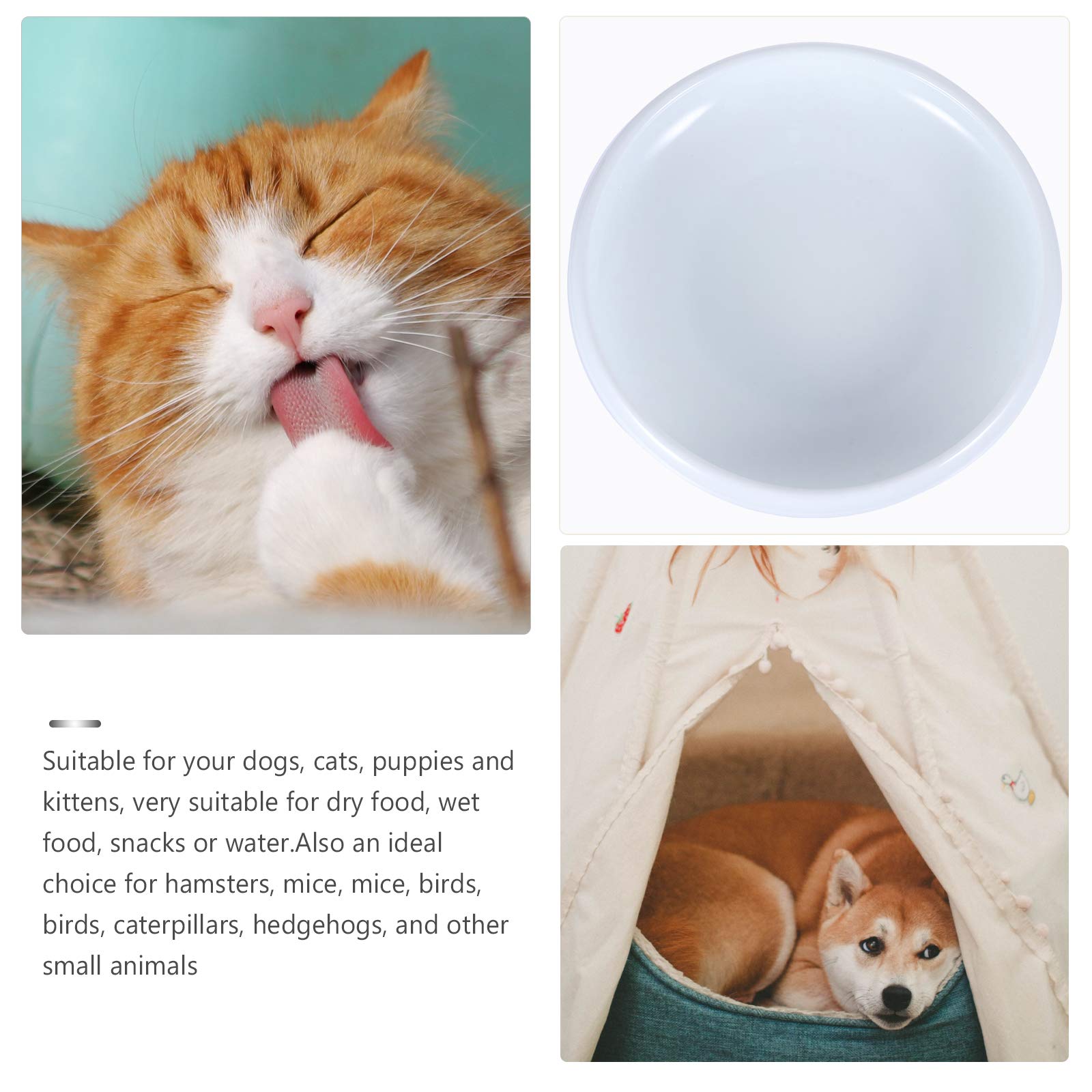 Premium Ceramic Cat Bowl Set - Non-Slip Pet Food & Water Bowls for Cats - Durable & Easy Clean Cat Feeding Dishes - Perfect for Home, Travel, or Office Use