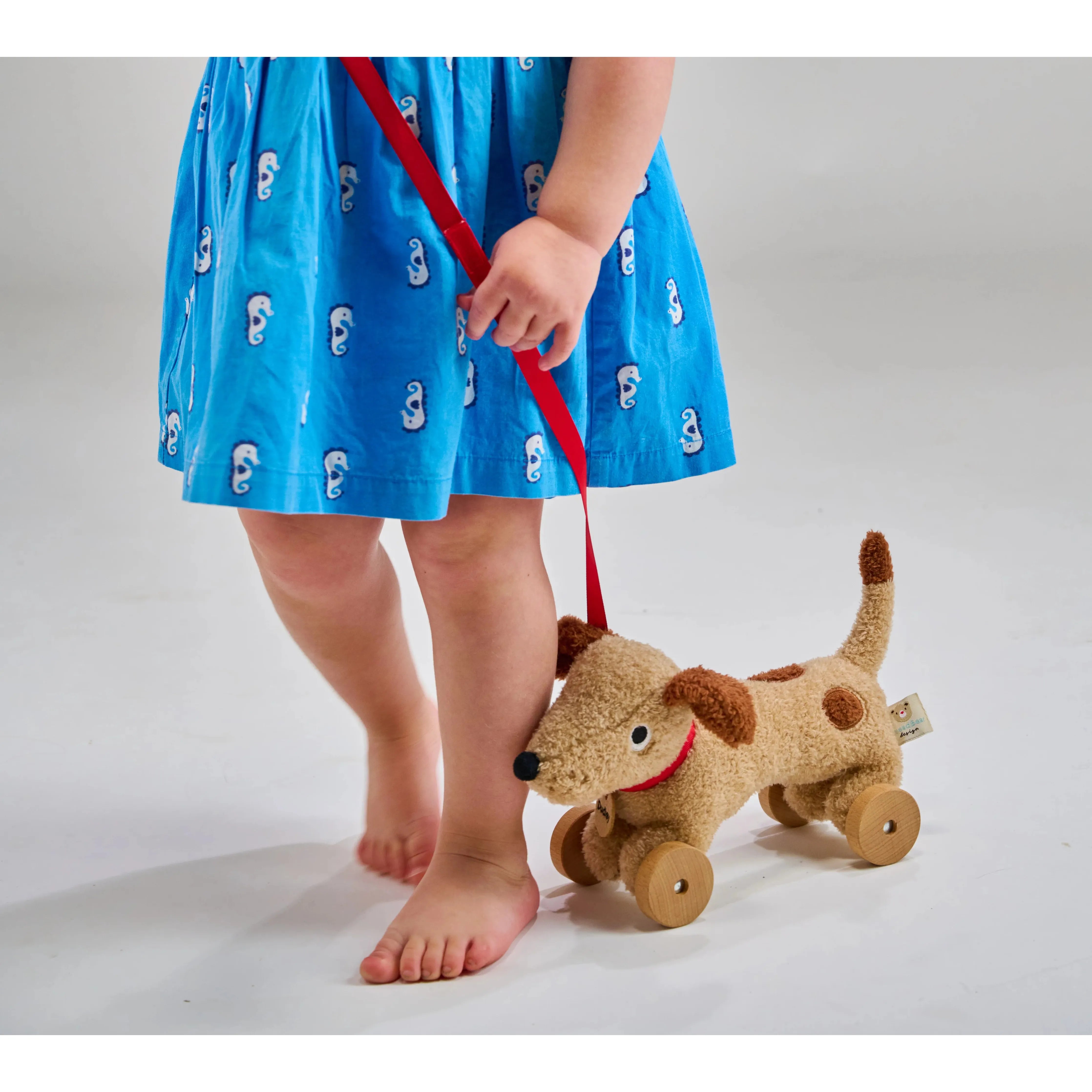 Dudley Pull Along Dog Toy - Interactive Plush Pet Toy for Small & Medium Dogs - Perfect for Indoor Play, Training & Bonding