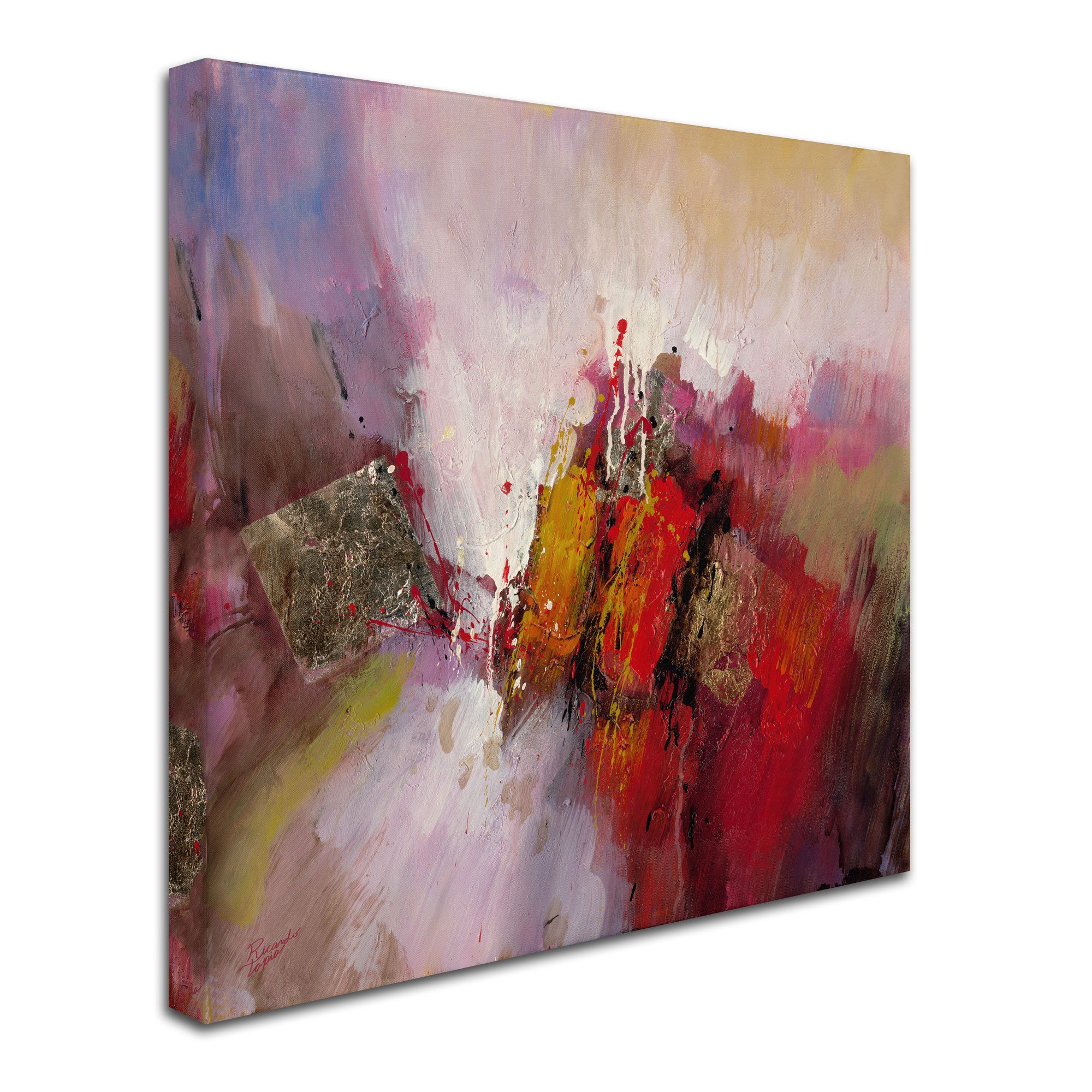 Ricardo Tapia Hot and Cold Abstract Wall Art - 35x35 Inch Canvas Painting for Modern Home & Office Decor | Living Room, Bedroom, Dining Room