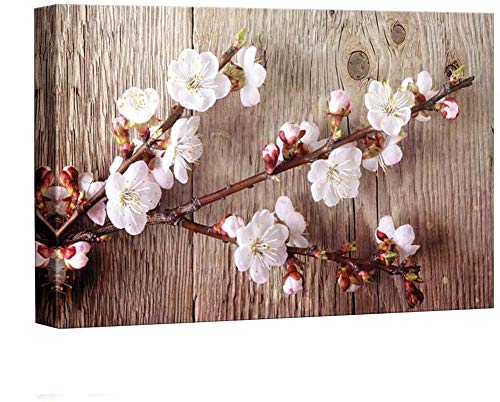 Cherry Blossoms