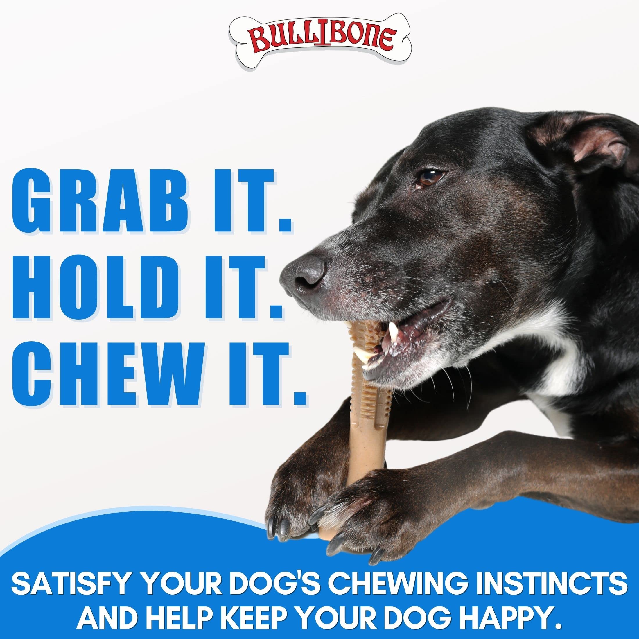 Bullibone SuperBrush Dog Toothbrush Stick - Long-Lasting Nylon Apple Cinnamon Flavor Chew Toy for Dental Care & Oral Health - Perfect for Daily Teeth Cleaning & Playtime Chewing