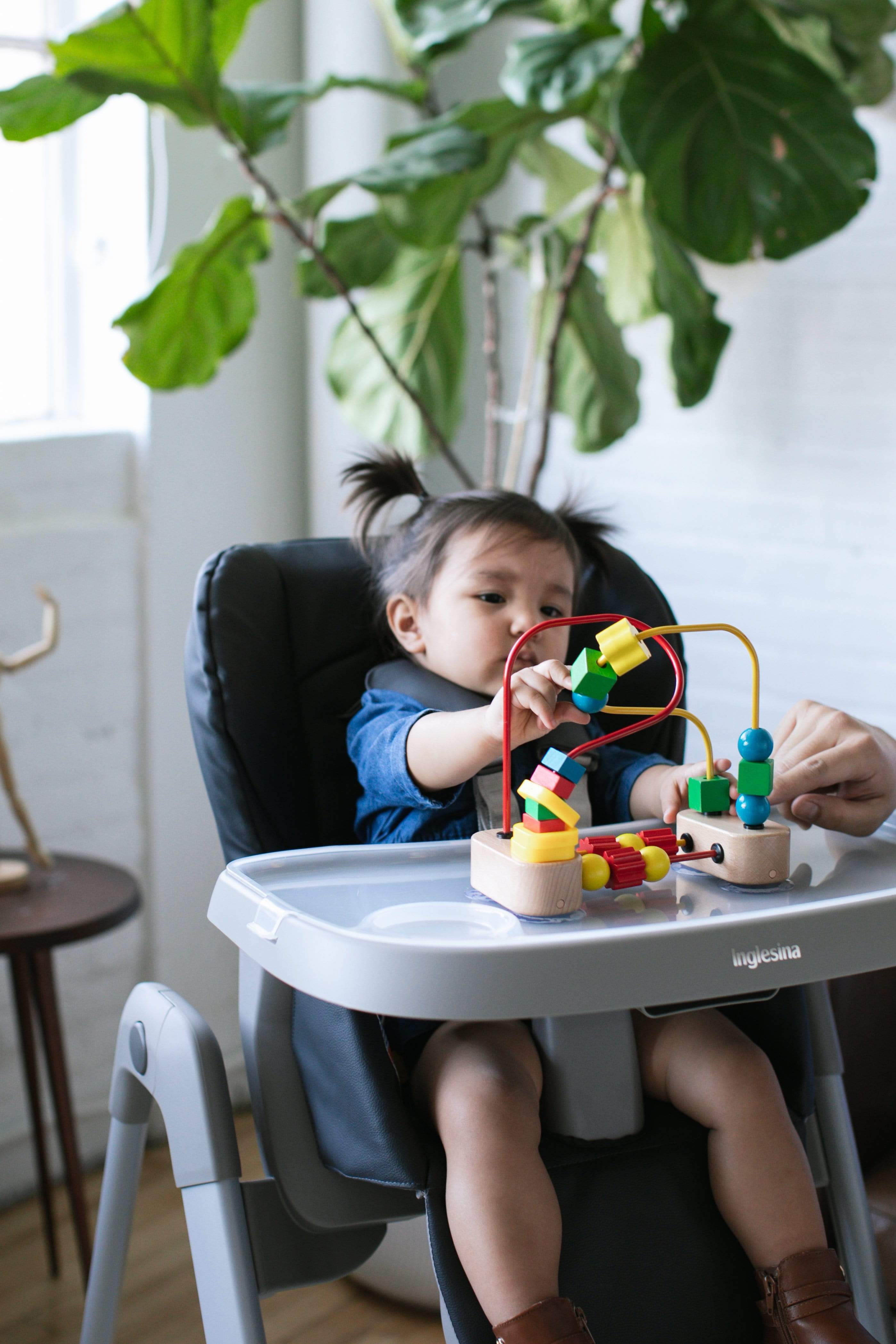 Inglesina My Time High Chair - Adjustable Baby Feeding Chair with Tray & Wheels for Easy Mealtime - Perfect for Home, Restaurant & Travel Use