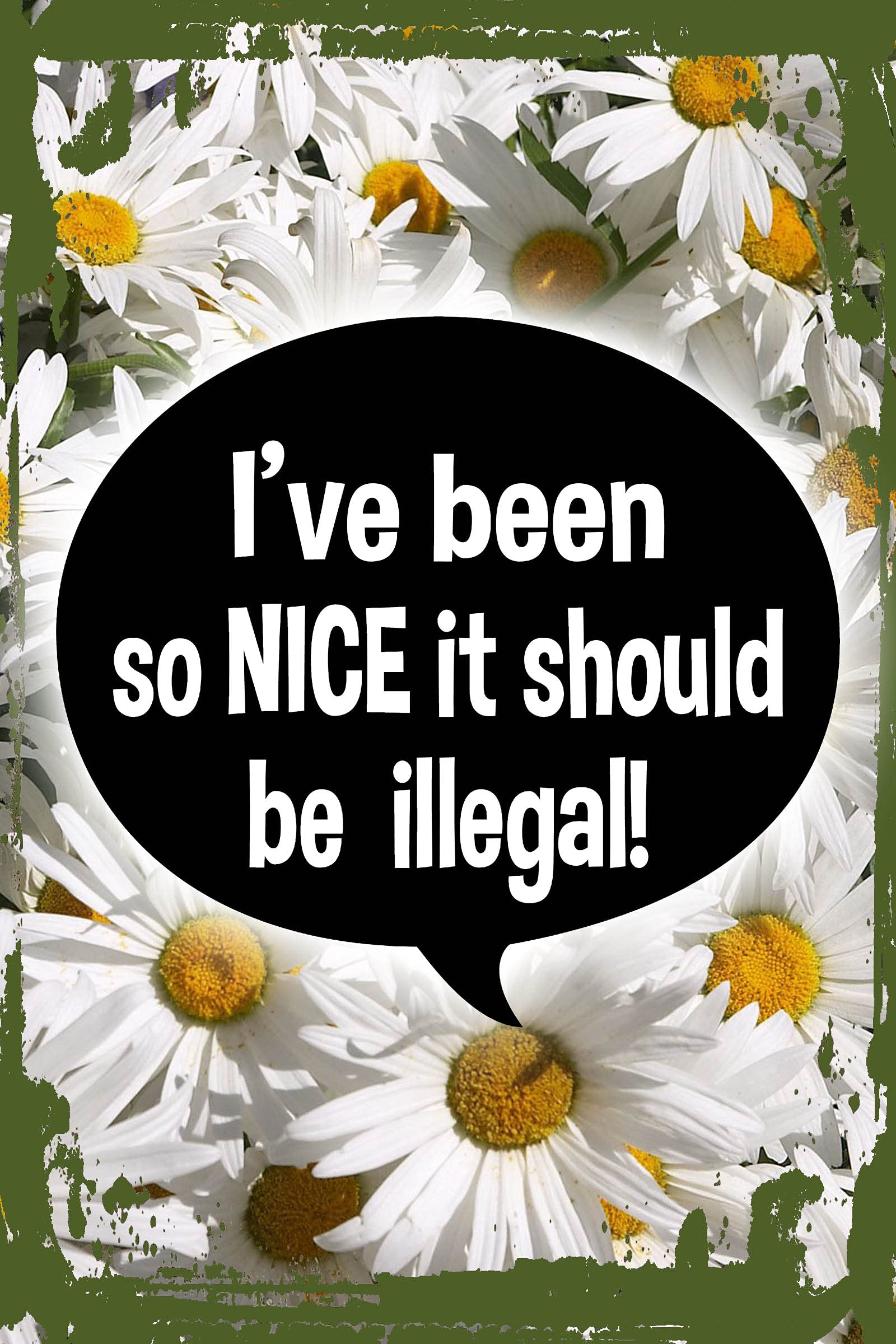 Funny Daisy Flower Wall Art Decor - 'I've Been So Nice It Should Be Illegal!' Christmas Santa Hanging Sign 8x12 Inches - Perfect for Kids Room, Holiday Gifts & Home Office Decor