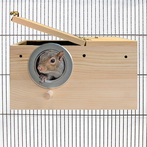 Premium Squirrel Starter Kit - Nutritious Food & Feeding Supplies for Wild Squirrels | Perfect for Backyard Wildlife Feeding & Nature Lovers