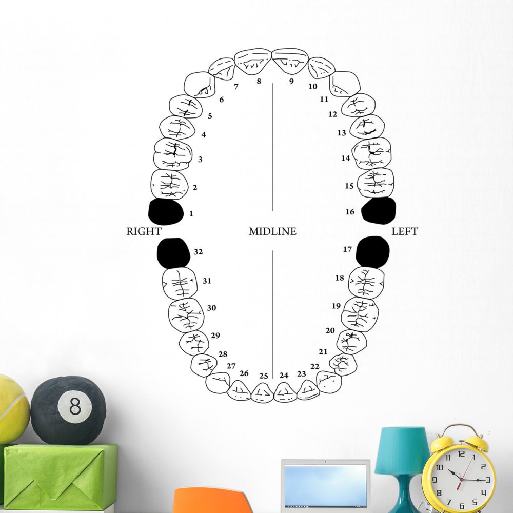 Wallmonkeys Teeth Wall Mural Peel and Stick Graphic - 48