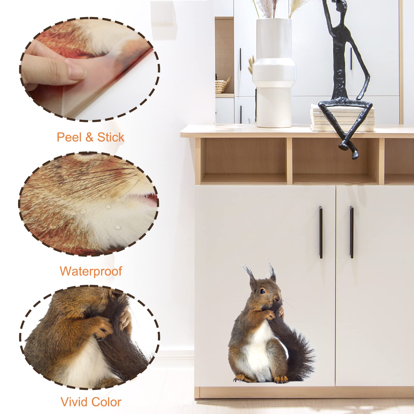 Adorable Squirrel Wall Decals - Peel & Stick Animal Stickers for Home Decor | Perfect for Bedroom, Kitchen, Bathroom, Kids Room & Cafe | Cute Window & Wall Decor for Nature Lovers