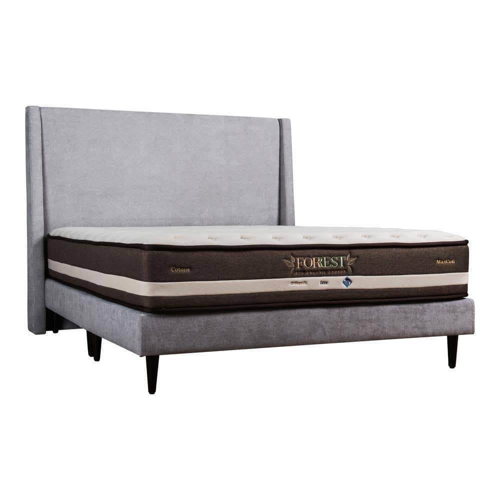 Euler Fabric Bed Frame - Queen Size, Sturdy & Quiet Platform Bed with Wooden Slats, Pet-Friendly Upholstered Fabric, Easy Assembly - Perfect for Modern Bedrooms, Guest Rooms & Pet Owners