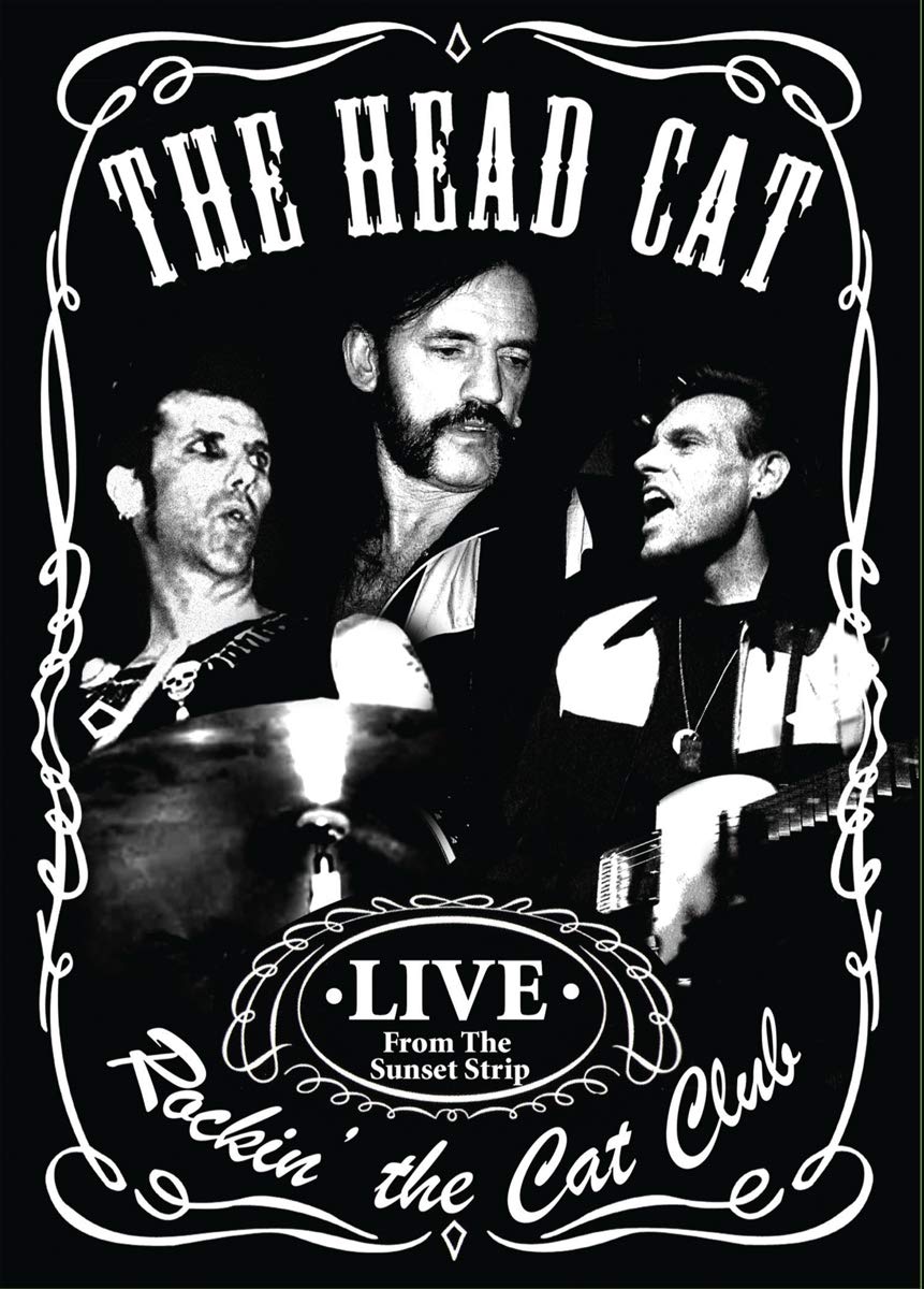 Head Cat Rockin' The Cat Club - Perfect for Rock Music Lovers
