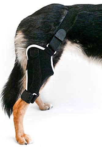 Embrace - Dog Knee Stifle Brace for Small Dogs (Right Leg) - Supports ACL Injuries & Joint Pain Relief for Active Pets