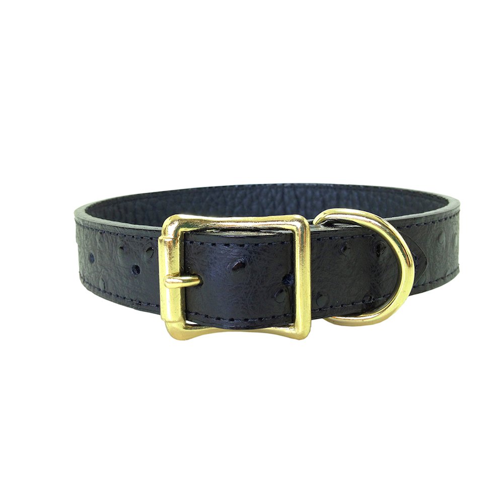 Auburn Leathercraft Savannah Dog Collar – Durable Leather Pet Collar for Medium & Large Dogs – Perfect for Walking, Training & Outdoor Adventures