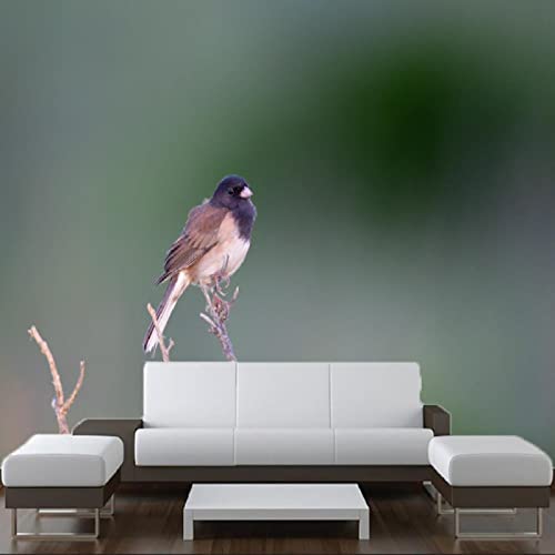 3D Bird Perched Wallpaper Peel and Stick - Self Adhesive PVC Wall Mural for Bedroom, Study Room, Living Room - Easy to Install Removable Wall Decor 78