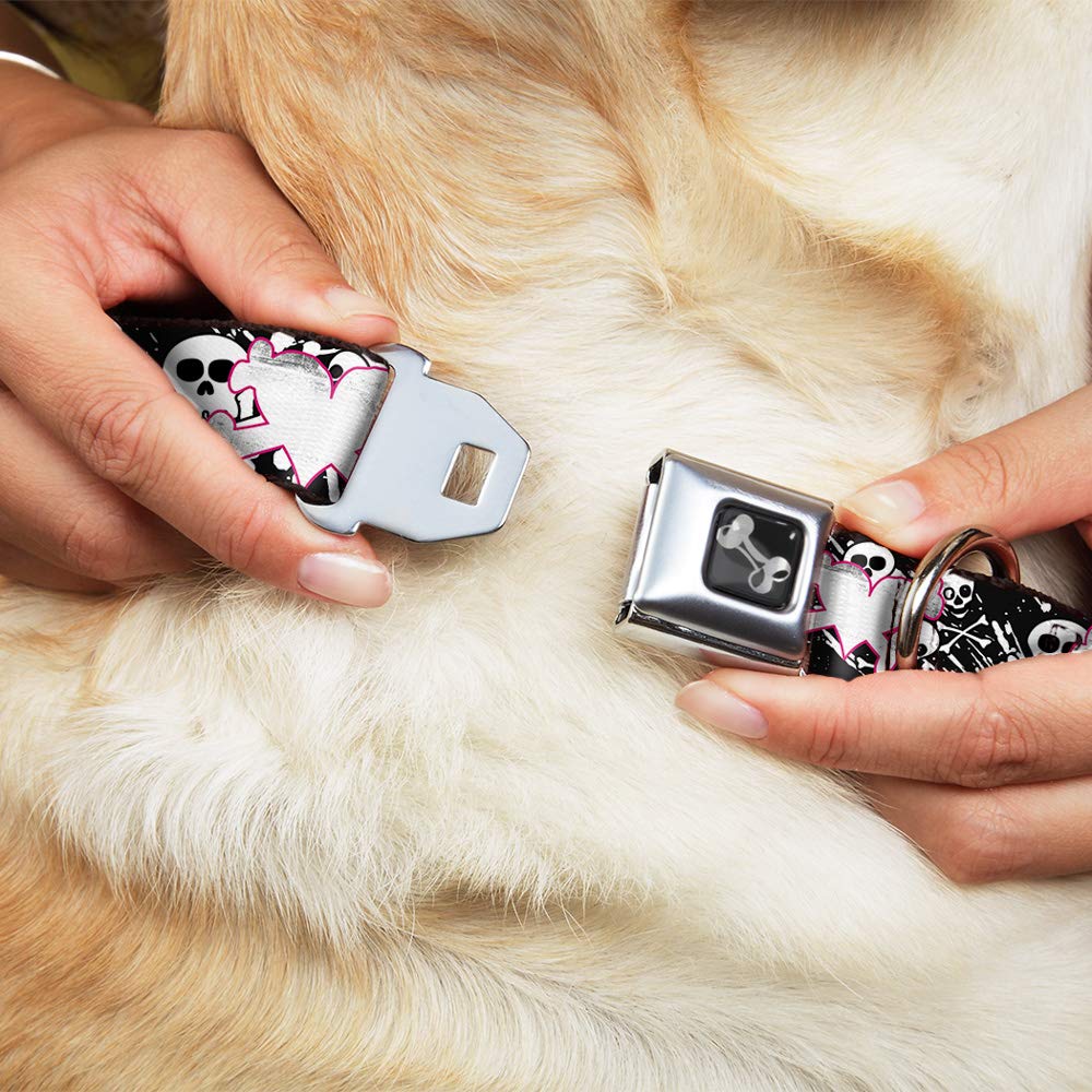 Buckle-Down Seatbelt Buckle Dog Collar - Skull & Crossbones Design with Black/White Splatter - 1.5