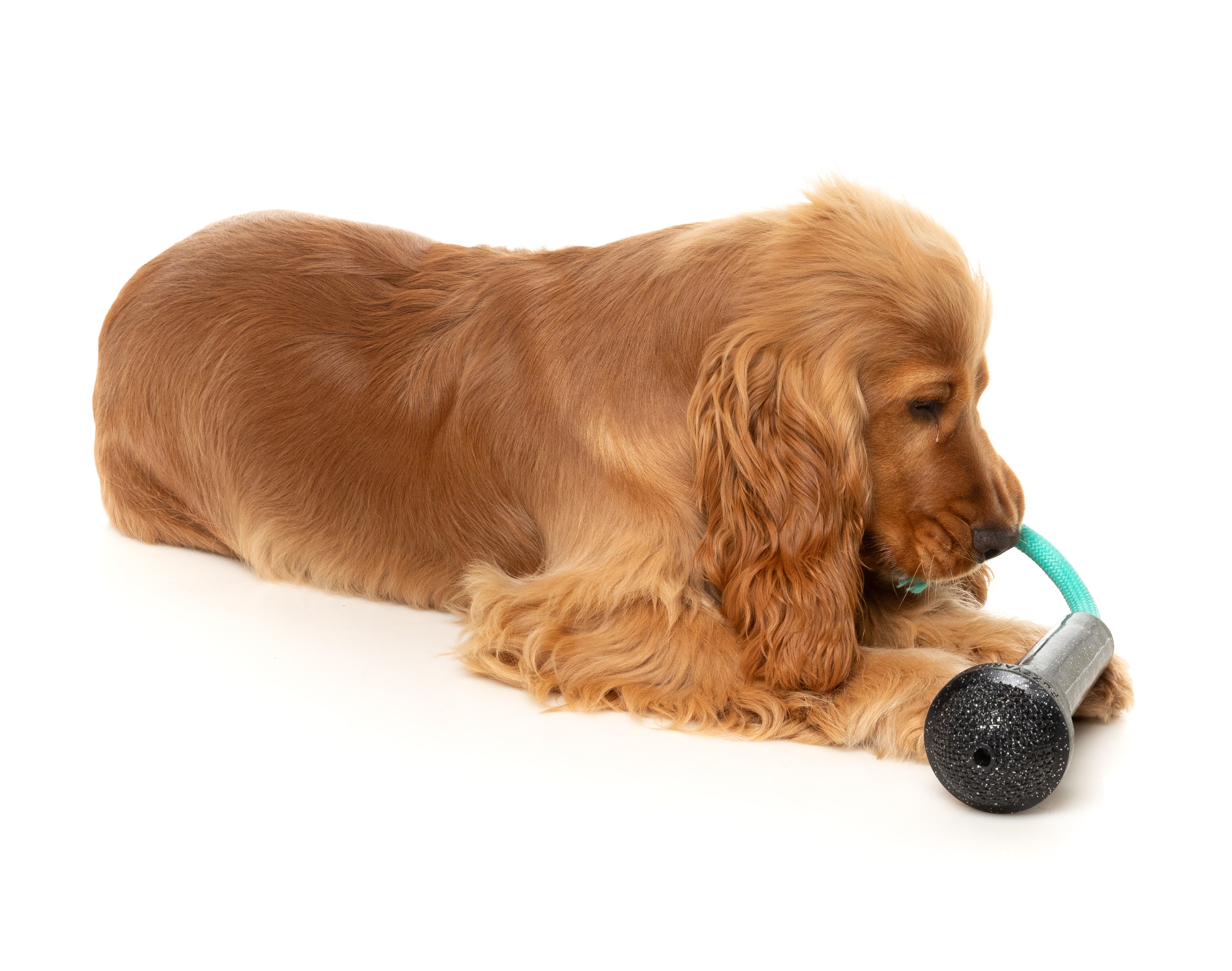 Fuzzyard Interactive Treat Dispensing Dog Chew Toy - Durable Pet Puzzle Feeder for Small & Large Dogs - Fun Mental Stimulation & Teeth Cleaning - Perfect for Indoor Play, Training Rewards, and Boredom Relief