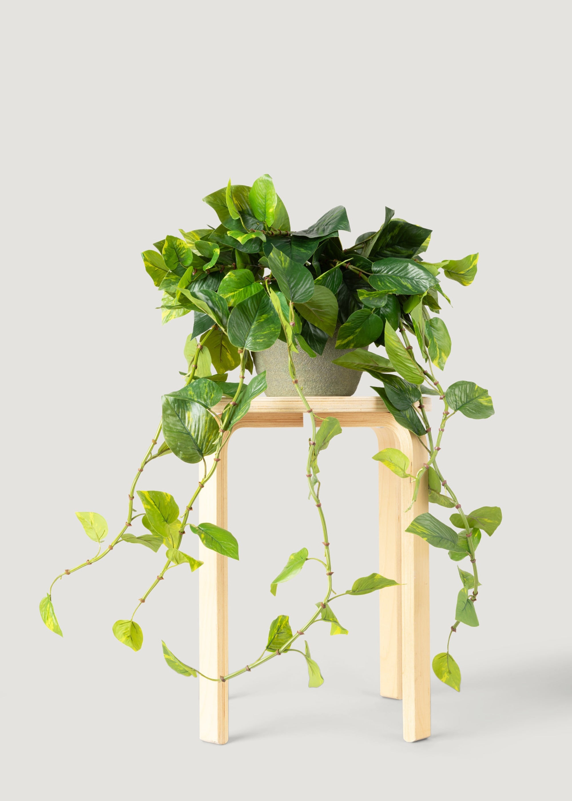 Natural Touch Pothos Artificial Plant 48