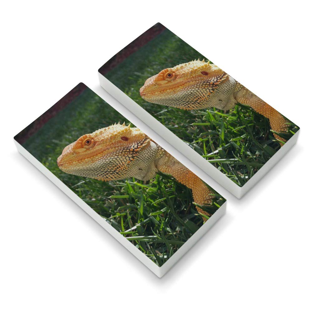 Bearded Dragon Eraser Set of 2 for School & Office