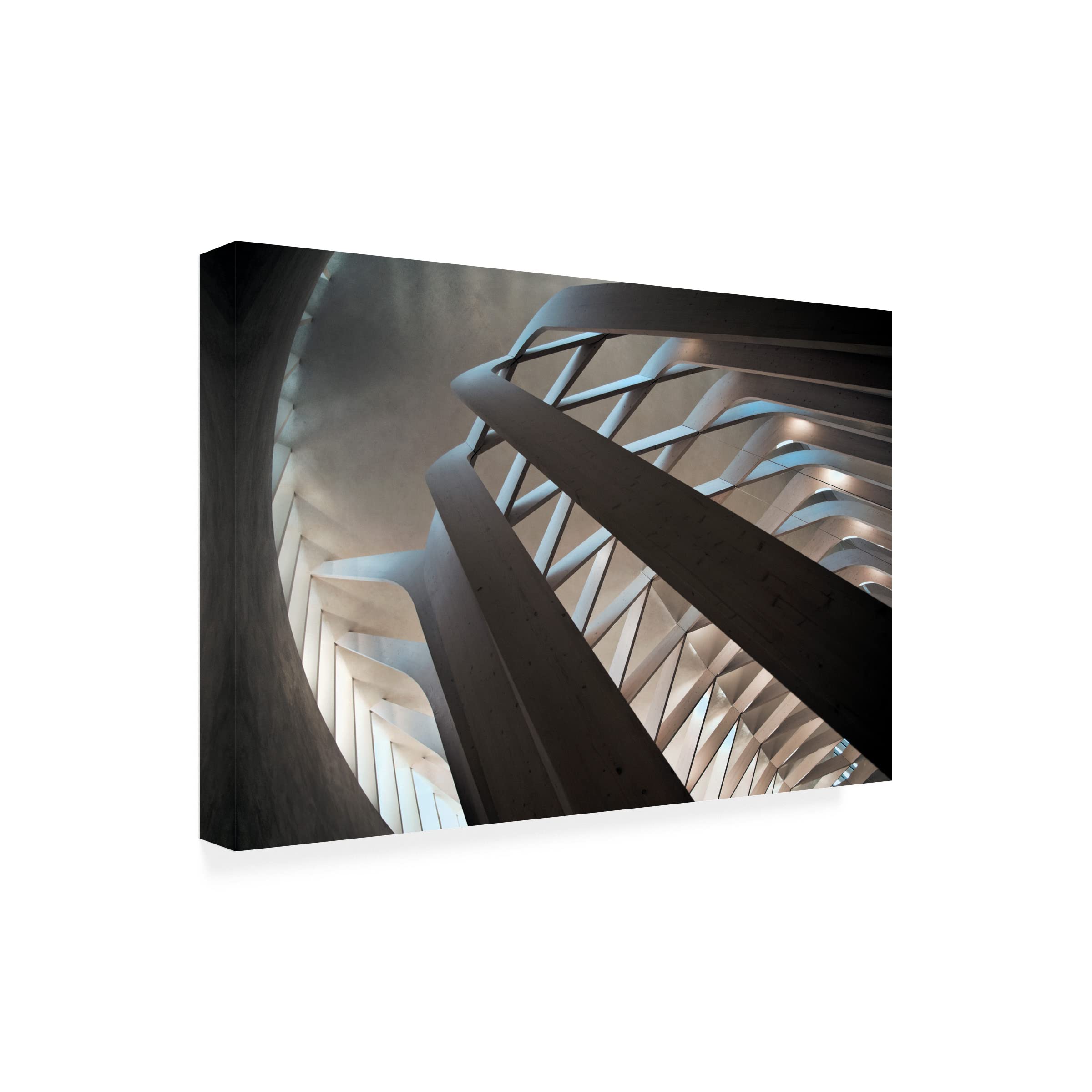 Trademark Fine Art 'Intertwined' Canvas Wall Art by Linda Wride - Modern Abstract Painting for Living Room, Bedroom & Office Decor