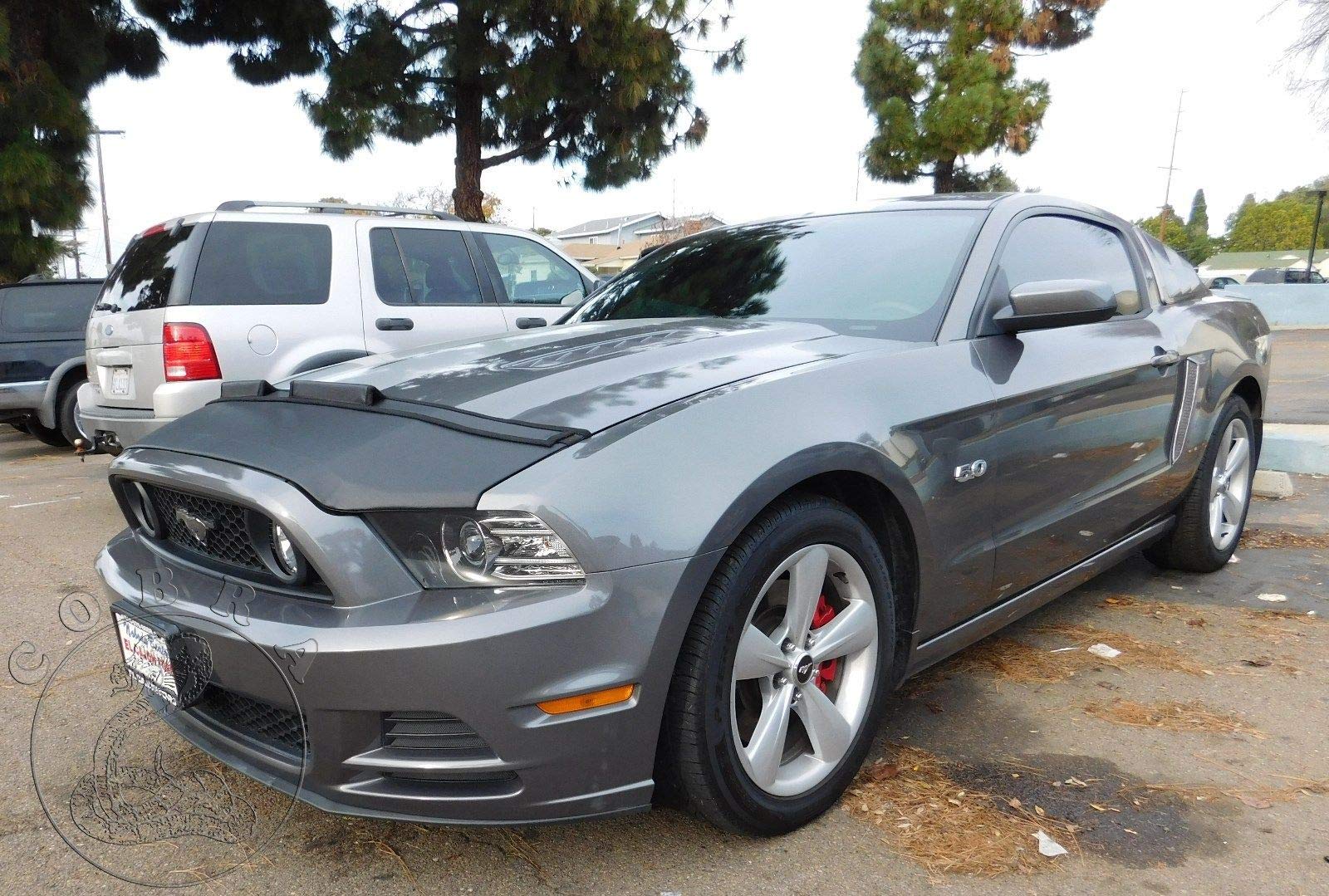 2013-2014 Ford Mustang GT Car Hood Mask Bonnet Bra - Protective Cover for Dust, Rocks & Road Debris - Perfect for Road Trips & Car Shows