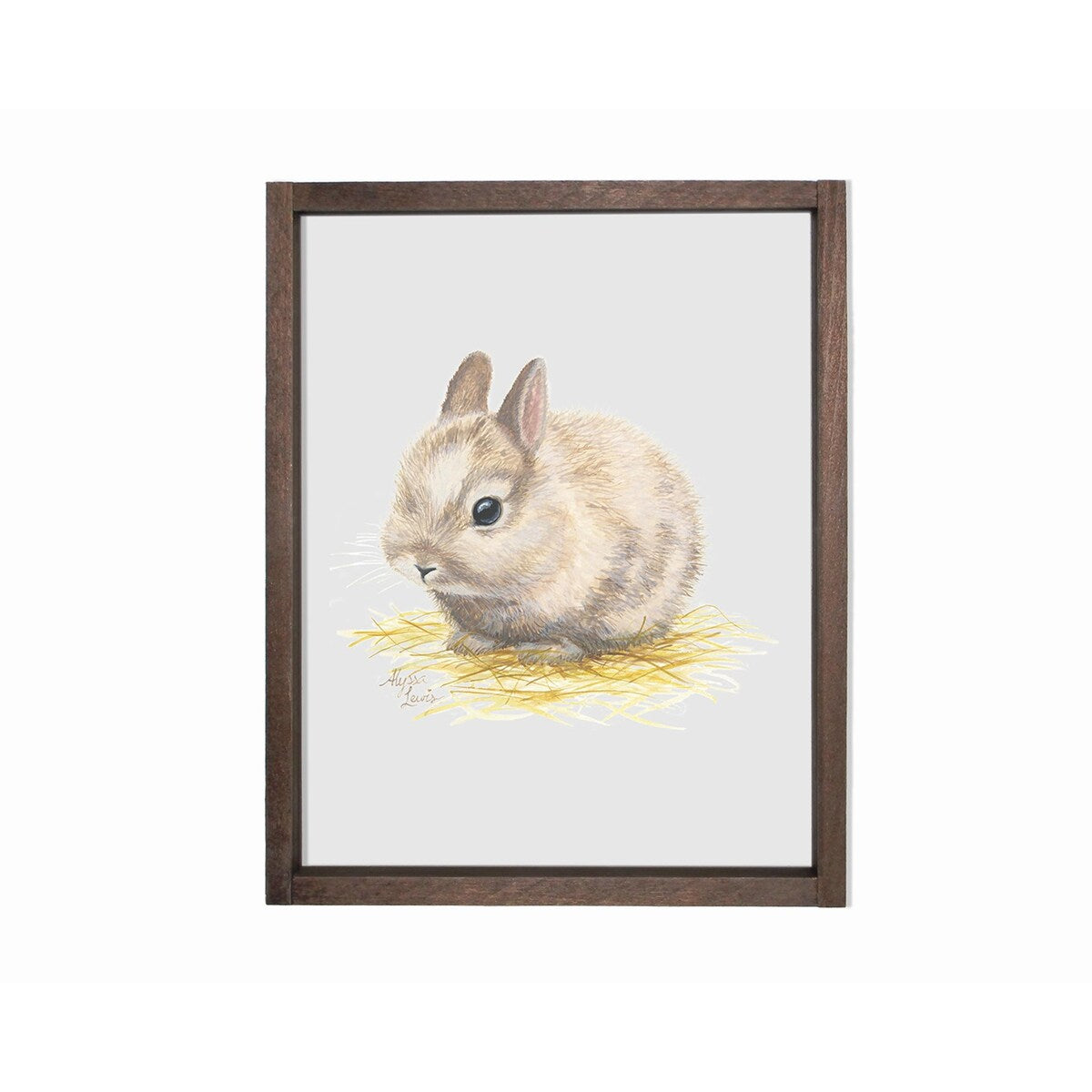 Barnyard Littles Bunny Individual Farmhouse Sign - 11 x 14 Inches Multi-Color Wall Decor for Nursery, Kids Room & Country Home Decor