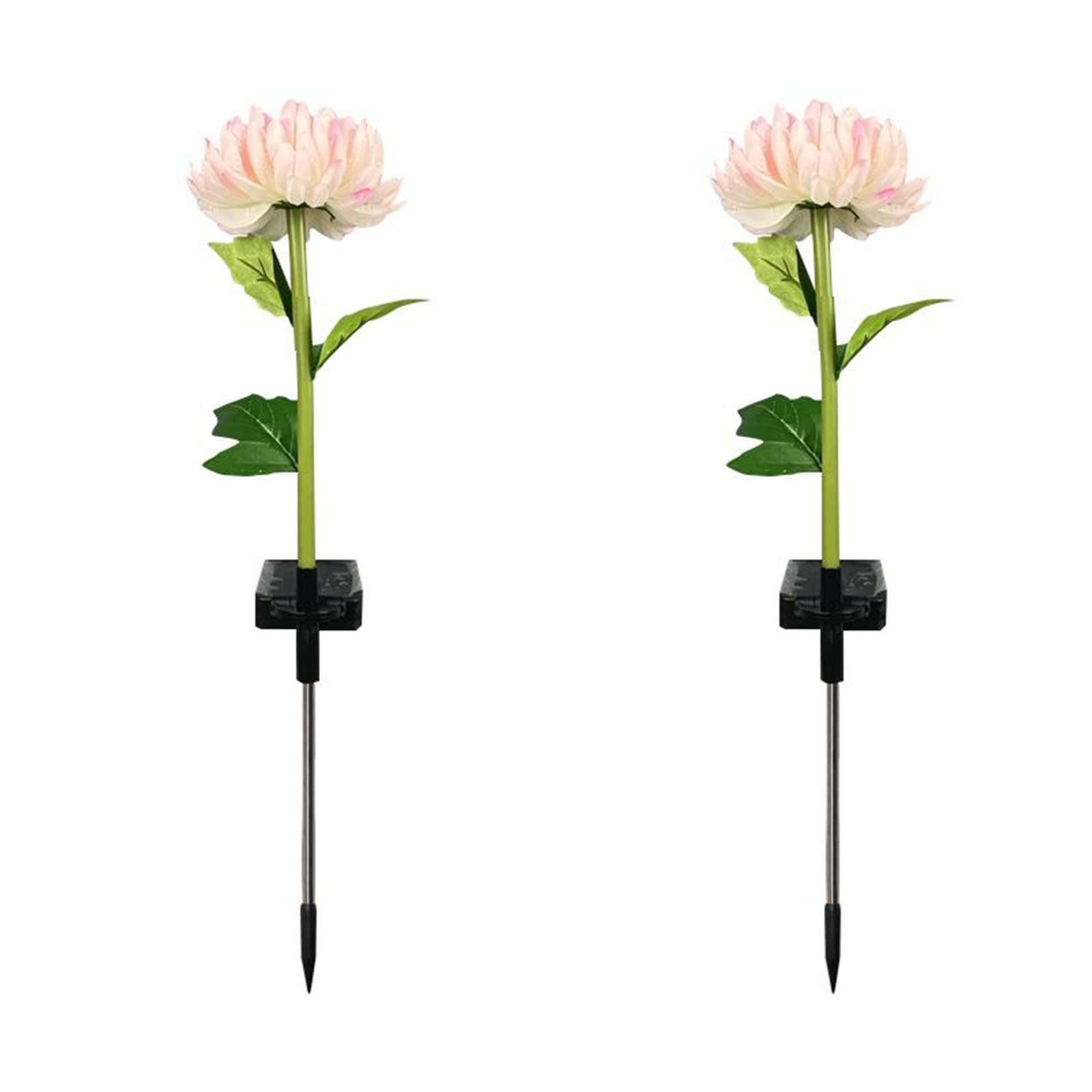 Chrysanthemum Solar Lights for Outdoor Garden Decor - Waterproof Solar Powered Flower Lights with Auto On/Off - Perfect for Pathway, Yard, Patio, and Landscape Lighting at Night